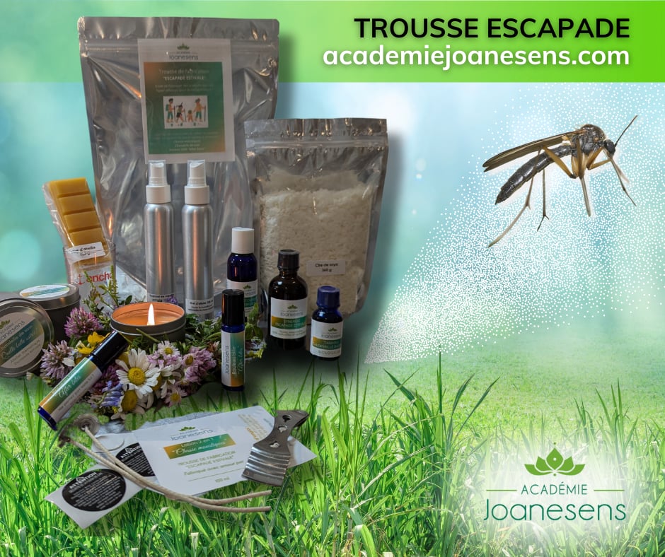 Trousse de fabrication Escapade Estivale